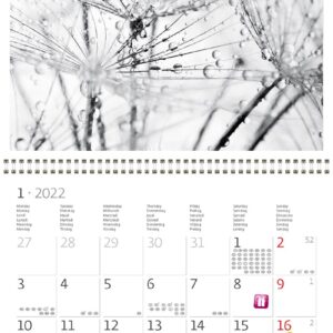 Square Wall Calendar Black & White 2022 - Calendars365.Shop