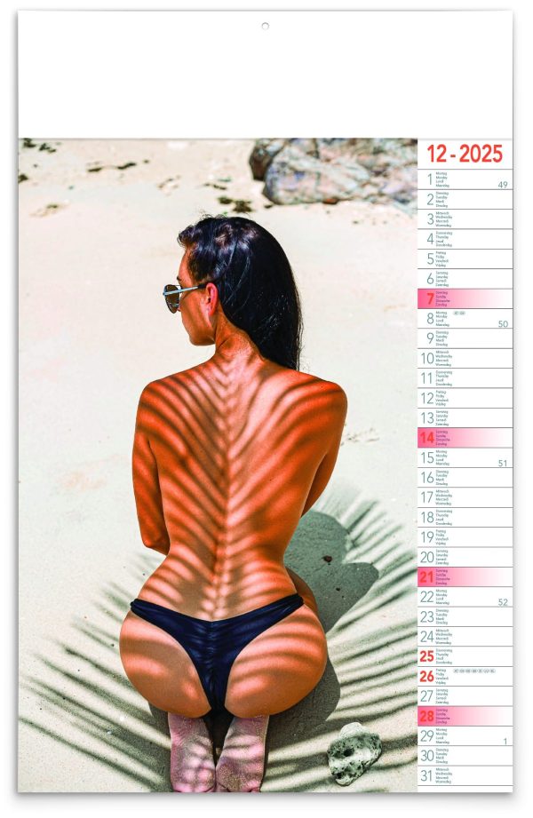 Calendar Tropical Girls 2025 - December