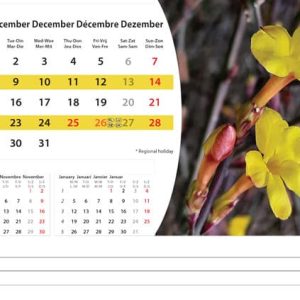 Desk calendar Flowers 2025 - December