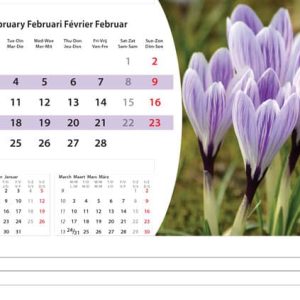 Desk calendar Flowers 2025 - February