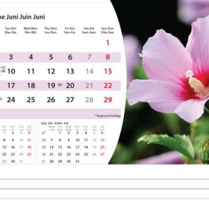 Desk calendar Flowers 2025 - June