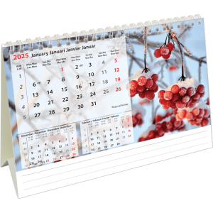 Desk calendar Beautiful Nature 2025 - January