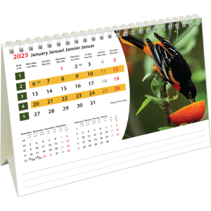 Desk calendar Wildlife 2025 - January