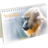 Desk calendar Wildlife 2025