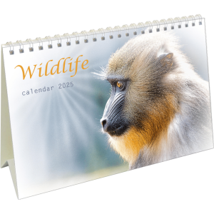 Desk calendar Wildlife 2025