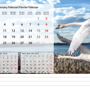 Desk calendar Beautiful Nature 2025 - February