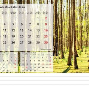 Desk calendar Beautiful Nature 2025 - March