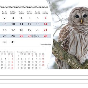 Desk calendar Wildlife 2025 - December