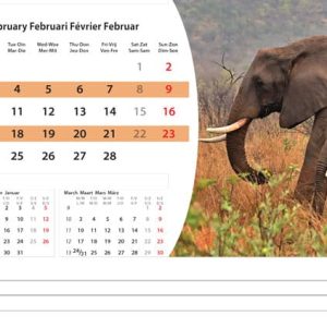 Desk calendar Wildlife 2025 - February