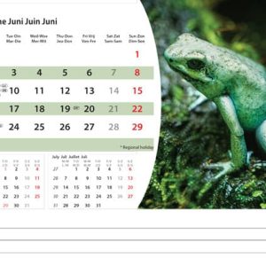 Desk calendar Wildlife 2025 - June