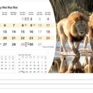 Desk calendar Wildlife 2025 - May