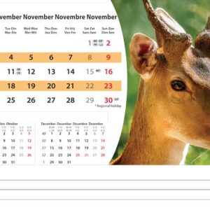 Desk calendar Wildlife 2025 - November