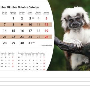 Desk calendar Wildlife 2025 - October