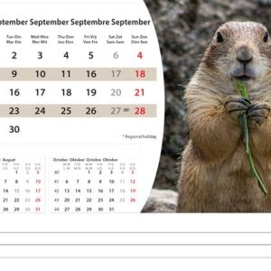 Desk calendar Wildlife 2025 - September