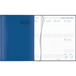 Diary Business 2025 Blue