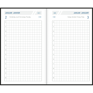 Diary Technica 2025