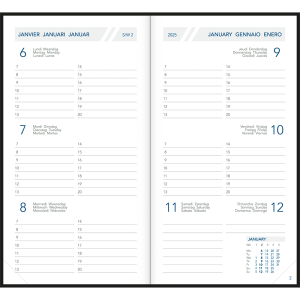 Pocket diary Visuplan 2025 casebound