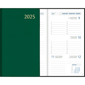 Pocket diary Visuplan 2025 casebound green