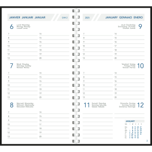 Pocket diary Visuplan 2025 comb bound