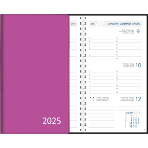 Pocket Diary Visuplan 2025 comb bound purple