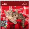 Calendar Cats 2025