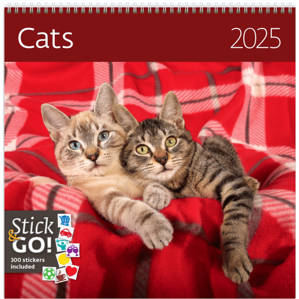 Calendar Cats 2025