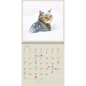 Calendar Cats 2025 - January