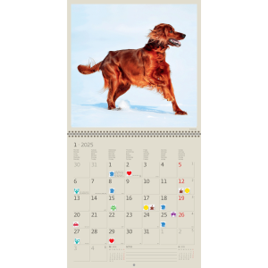 Calendar Dogs 2025 - January