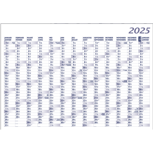 Yearly planner 2025