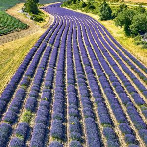 Calendar Provence 2025 - May