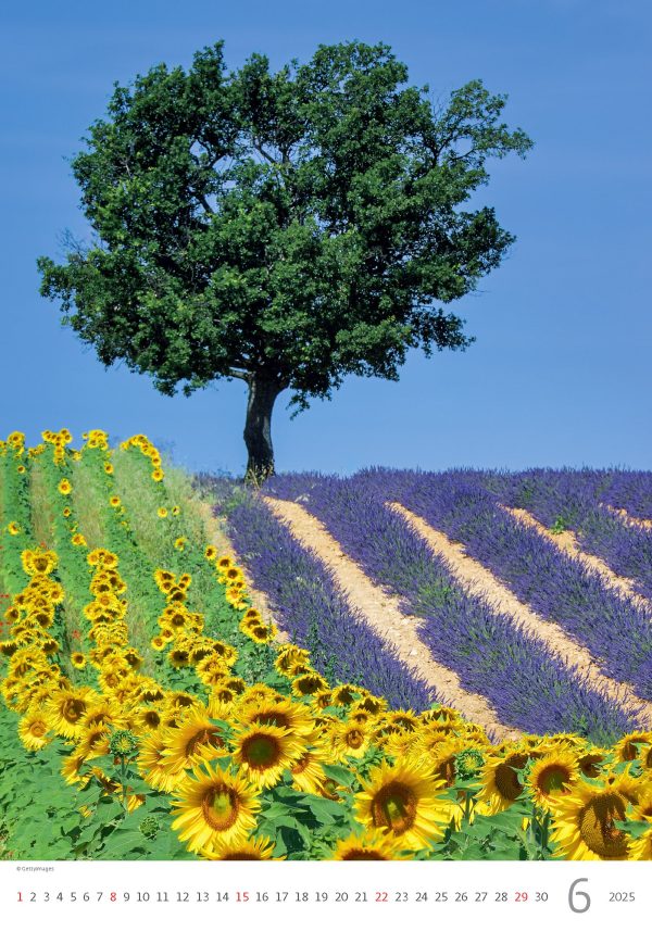 Calendar Provence 2025 - June