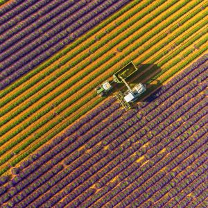 Calendar Provence 2025 - August