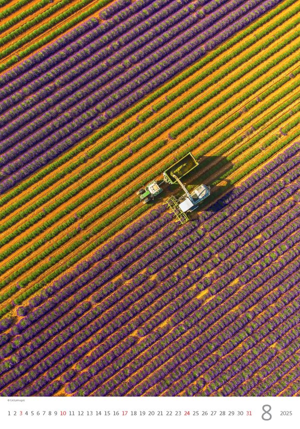 Calendar Provence 2025 - August