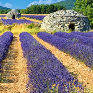 Calendar Provence 2025 - October