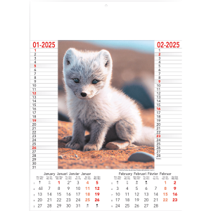 Calendar Wild & Free 2025