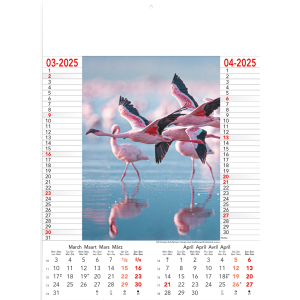 Calendar Wild & Free 2025 - page 2