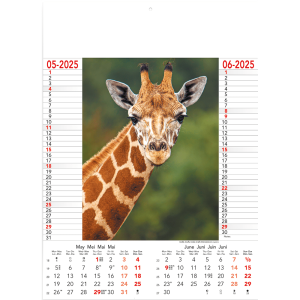 Calendar Wild & Free 2025 - page 3