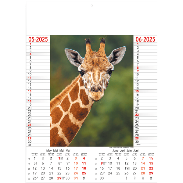 Calendar Wild & Free 2025 - page 3