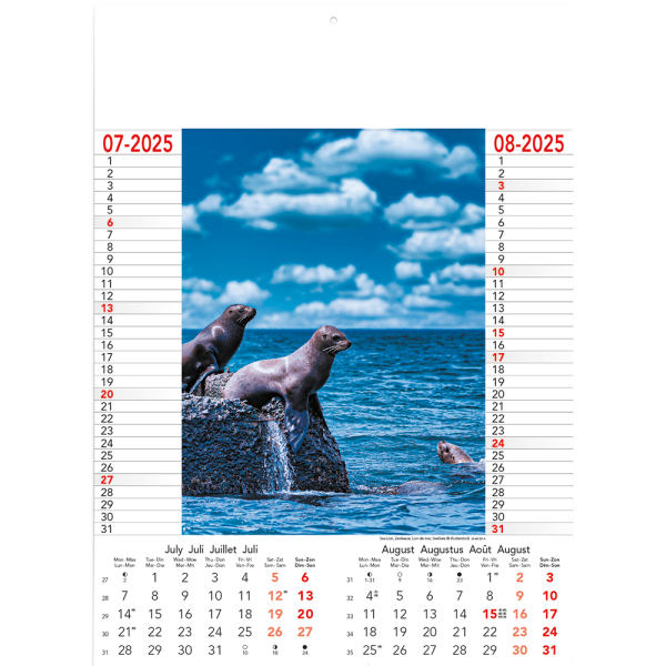 Calendar Wild & Free 2025 - page 4