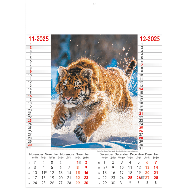 Calendar Wild & Free 2025 - page 6